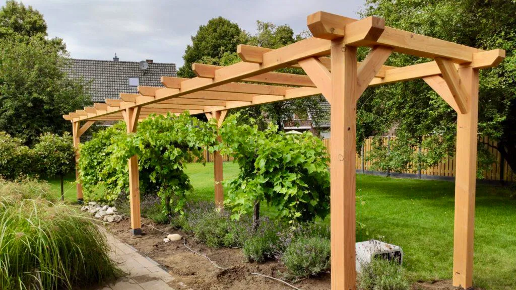 Pergola's — foto 5
